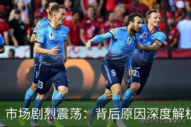 市场剧烈震荡：背后原因深度解析